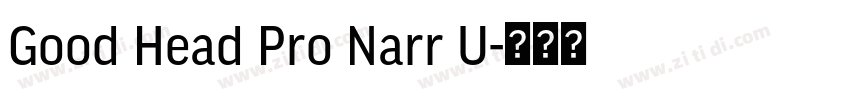 Good Head Pro Narr U字体转换 Good Head Pro Narr U字体转换
